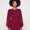 Kat Sleeve Dress - Cocktail Dress / Party Dress - Berry Wine